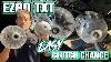 Ep 89 How To Easily Change A Golf Cart Drive U0026 Driven Clutch On An Ezgo Txt It Takes A Few Minutes